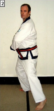 Tang Soo Do World